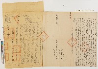 藏品(同治二年楊煥文向三奶壇庄孫邑璋立賣杜絕盡根契(附契尾))的圖片